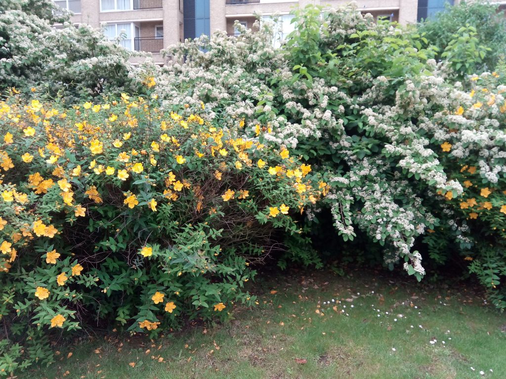 vodafone smart ultra 7 camera 4