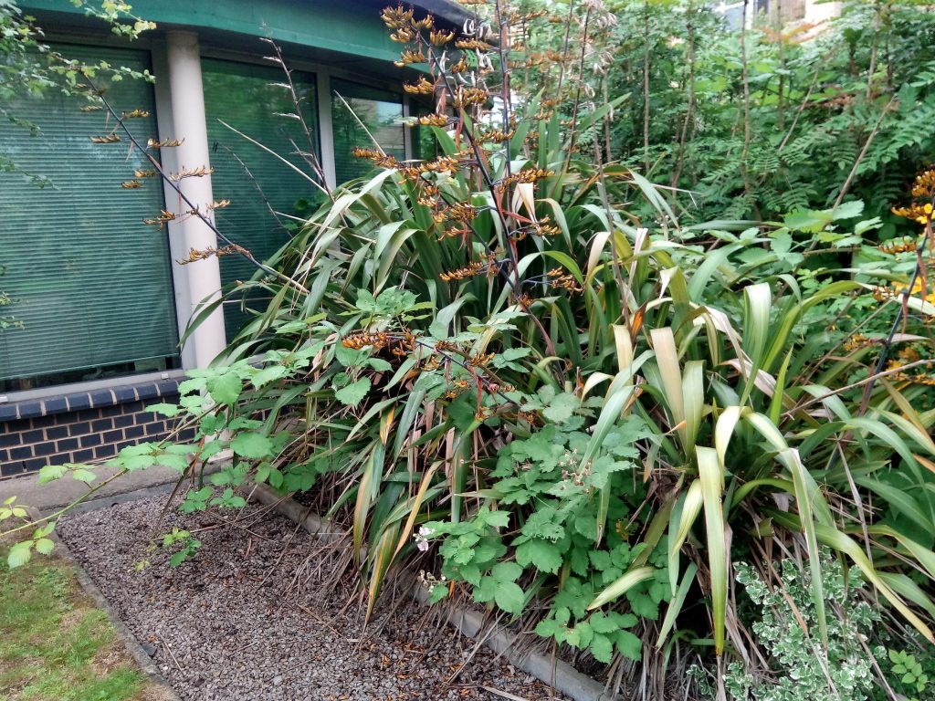 vodafone smart ultra 7 camera 6